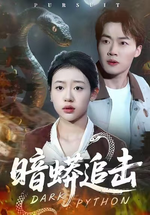 暗蟒追击（35集）好看的短剧电影