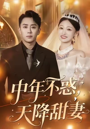 中年不惑，天降甜妻（60集）真的太好看了