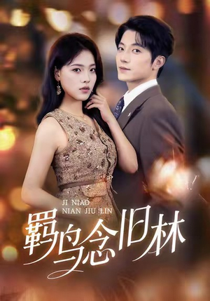 羁鸟念旧林（60集）高分推荐免费看