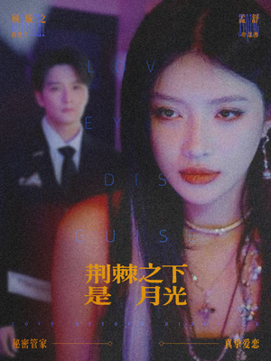 鸳鸯相抱何时了（66集）每天短剧分享