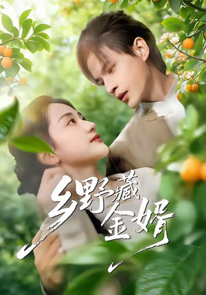 乡野藏金婿（50集）精彩的网络短剧