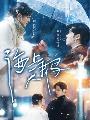 海上天鹅（70集）直接追到结尾