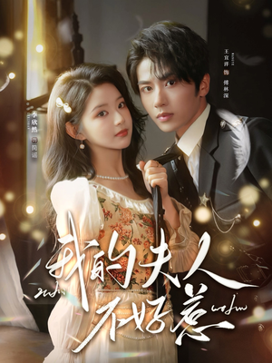 我的夫人不好惹(60集) 我的夫人不好惹(60集)免费观看就是爽