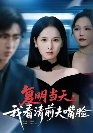 复明当天,我看清前夫嘴脸(50集) 复明当天,我看清前夫嘴脸(50集)推荐热门短剧