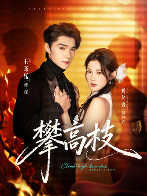 攀高枝（70集）火爆短剧来袭