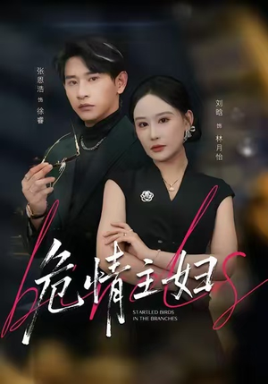 危情主妇（60集）完整版