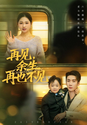 再见余生再也不见（89集）推荐热门短剧