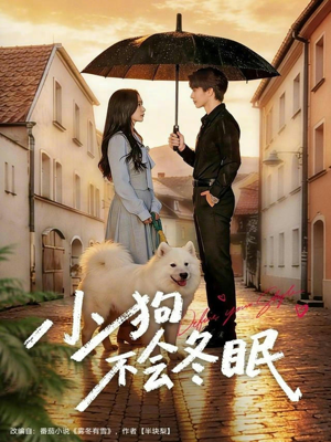 小狗不会冬眠（70集）在哪看