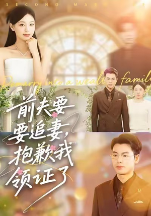 前夫要追妻，抱歉我领证了（81集）经典回顾免费看