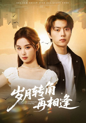 岁月转角再相逢（80集）全集一网打尽