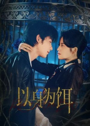 以身为饵（61集）我真的爱了