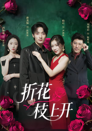 折花枝上开（51集）追短剧关注我