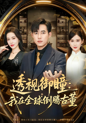 透视御瞳：我在全球倒腾古董（80集）夸克网盘观看