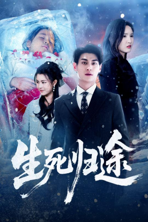 生死归途(50集) 生死归途(50集)全集一次看完