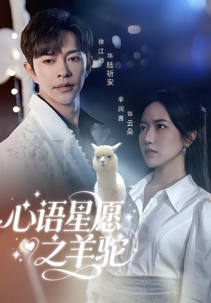 心语星愿之羊驼（60集）好看的短剧分享