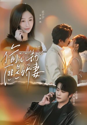 偷心劫匪是娇妻（61集）短剧有好货推荐