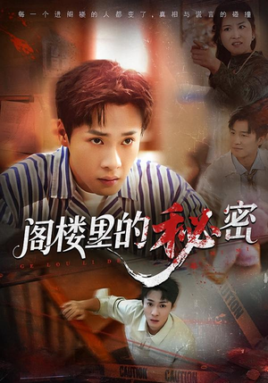 阁楼里的秘密（76集）看精彩短剧