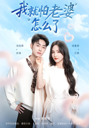 我就怕老婆怎么了（88集）热门短剧追到爽