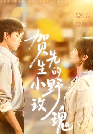 贺先生的小野玫瑰(99集) 贺先生的小野玫瑰(99集)短剧热门推荐