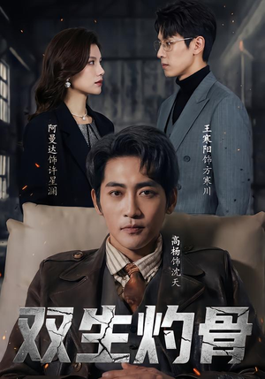 双生灼骨（60集）第32集