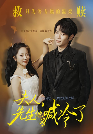 夫人,先生他又喊冷了(60集) 夫人,先生他又喊冷了(60集)UC网盘在线看