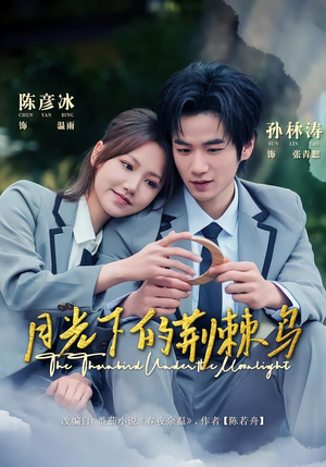 月光下的荆棘鸟（80集）在哪看