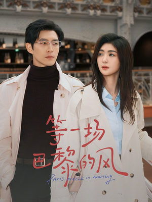 等一场巴黎的风（60集）直接追到结尾