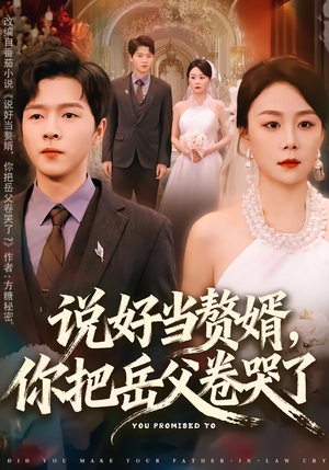 说好当赘婿，你把岳父卷哭了（80集）怎么看全集