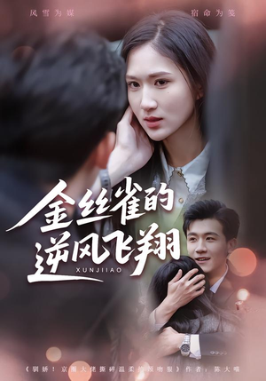 金丝雀的逆风飞翔（80集）免费观看完整版