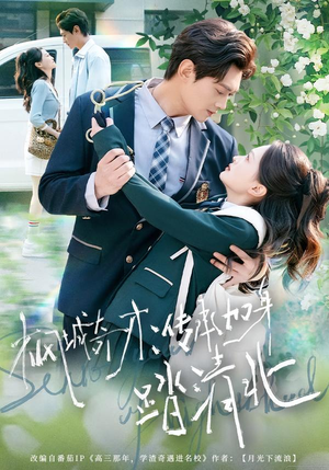 枫城奇才：传承加身踏清北（80集）精彩好看的短剧