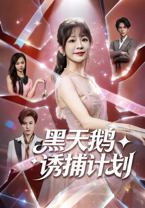 黑天鹅诱捕计划（81集）怎么看全集