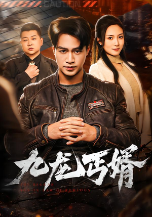 九龙丐婿（81集）全剧看到大结局