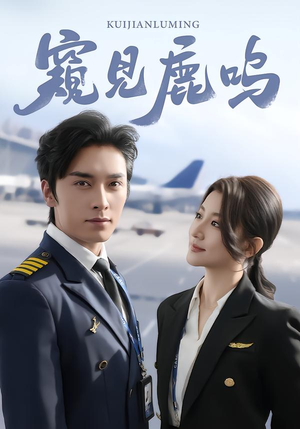 窥见鹿鸣（60集）好看到停不下来