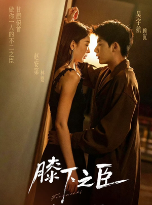 膝下之臣（56集）每天短剧分享