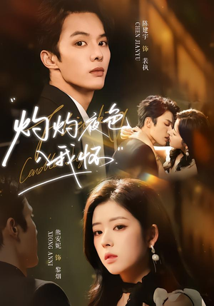 灼灼夜色入我怀（60集）抢先看热门短剧