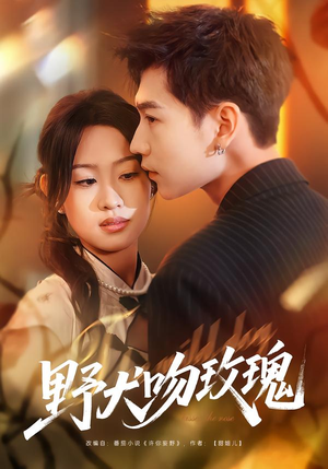 野犬吻玫瑰（70集）短剧精彩片段