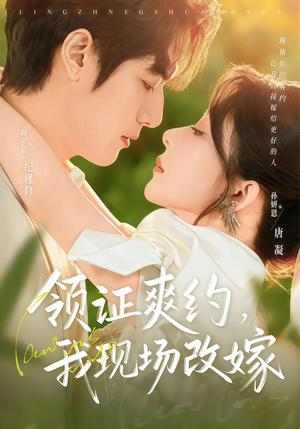 领证爽约，我现场改嫁（60集）口碑之选免费看