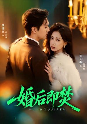 婚后即焚（77集）免费全集短剧