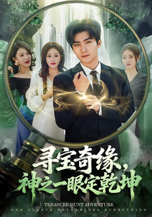 寻宝奇缘，神之一眼定乾坤（80集）看到大结局