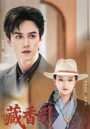 藏香引（63集）短剧排行榜