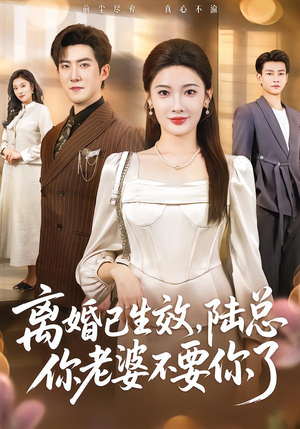 离婚已生效，陆总你老婆不要你了（61集）精彩短剧看全集