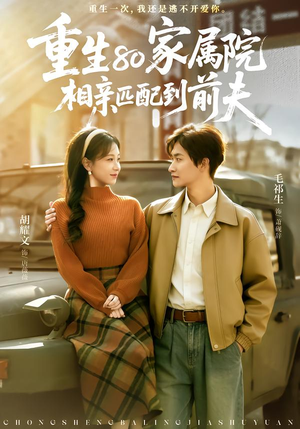 重生80家属院，相亲匹配到前夫（77集）热播短剧全集看