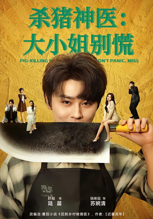 杀猪神医，大小姐别慌（80集）短剧推荐分享