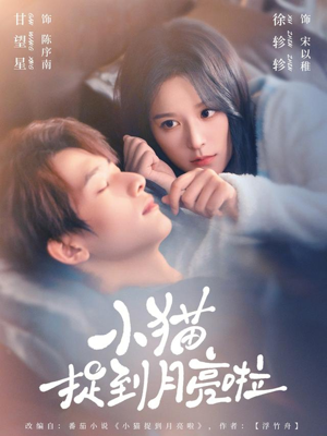 小猫捉到月亮啦（80集）高质量短剧推荐
