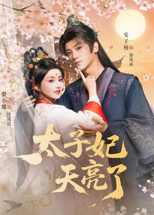 太子妃天亮了（80集）在哪里看