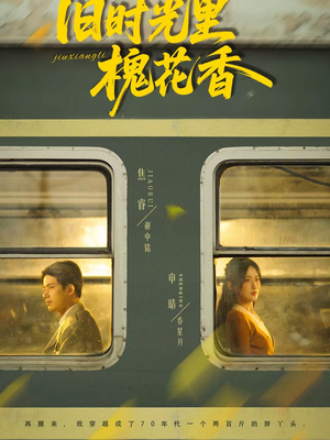 旧时光里槐花香（70集）直接追到结尾