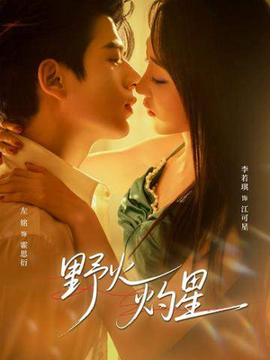 野火灼星（56集）看过的人都说好