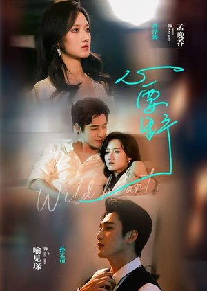 心要野(62集) 心要野(62集)大结局