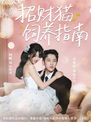 招财猫饲养指南（92集）小短剧抢先看