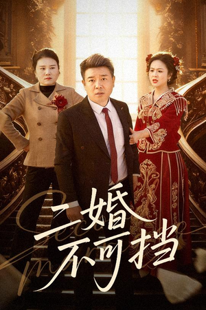 二婚不可挡（36集）全集在线看